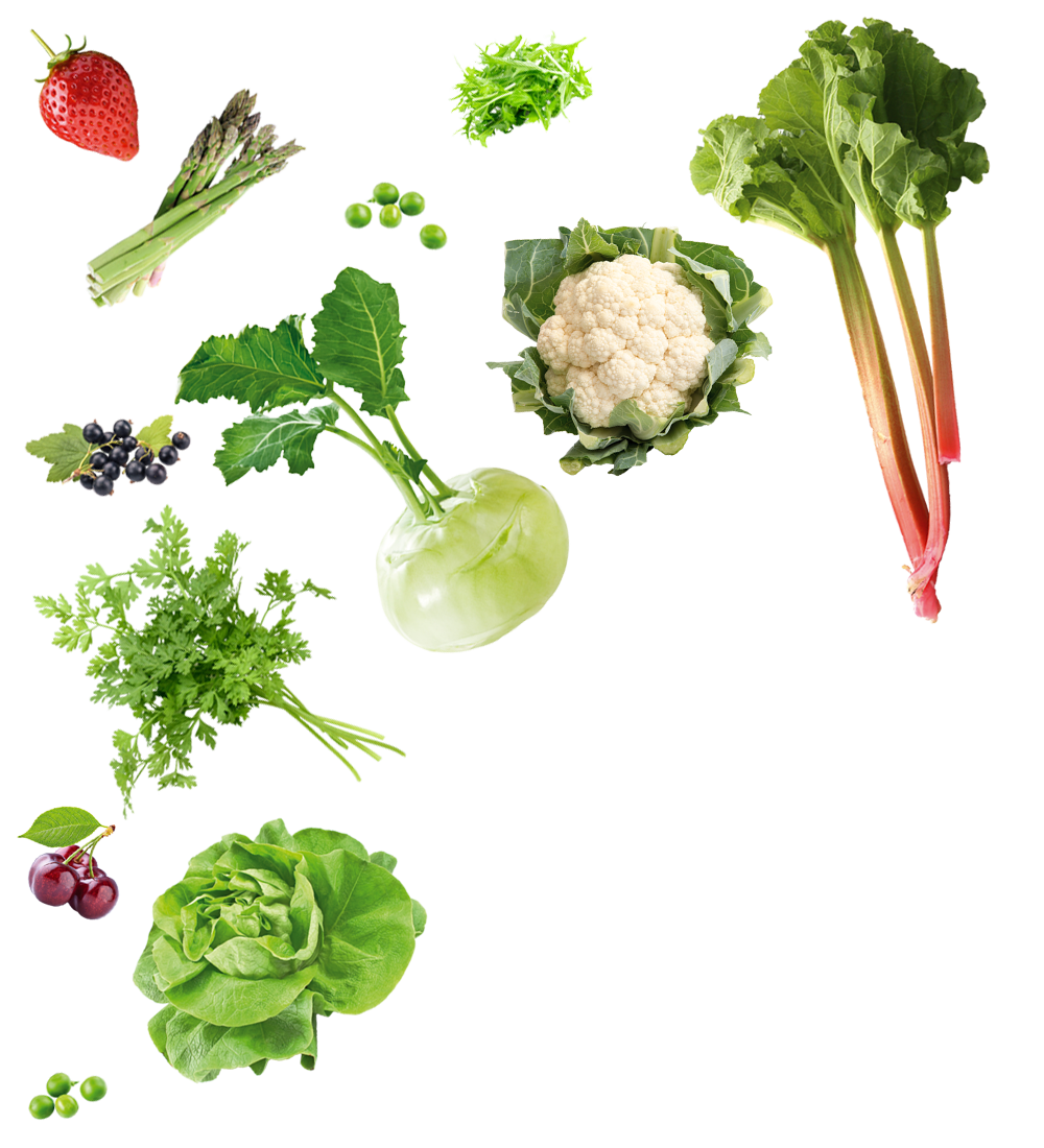 fruits légumes printemps
