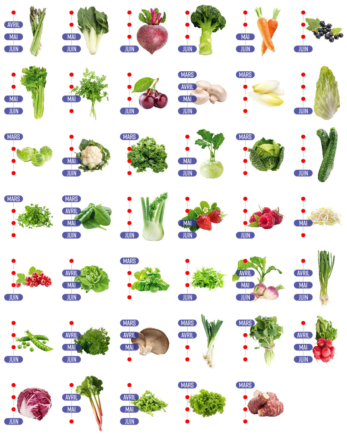 calendrier fruits légumes saison printemps récolte
