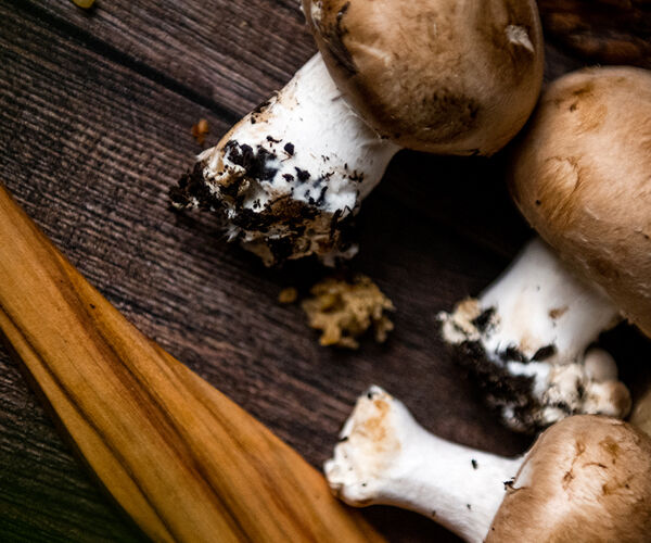 champignon