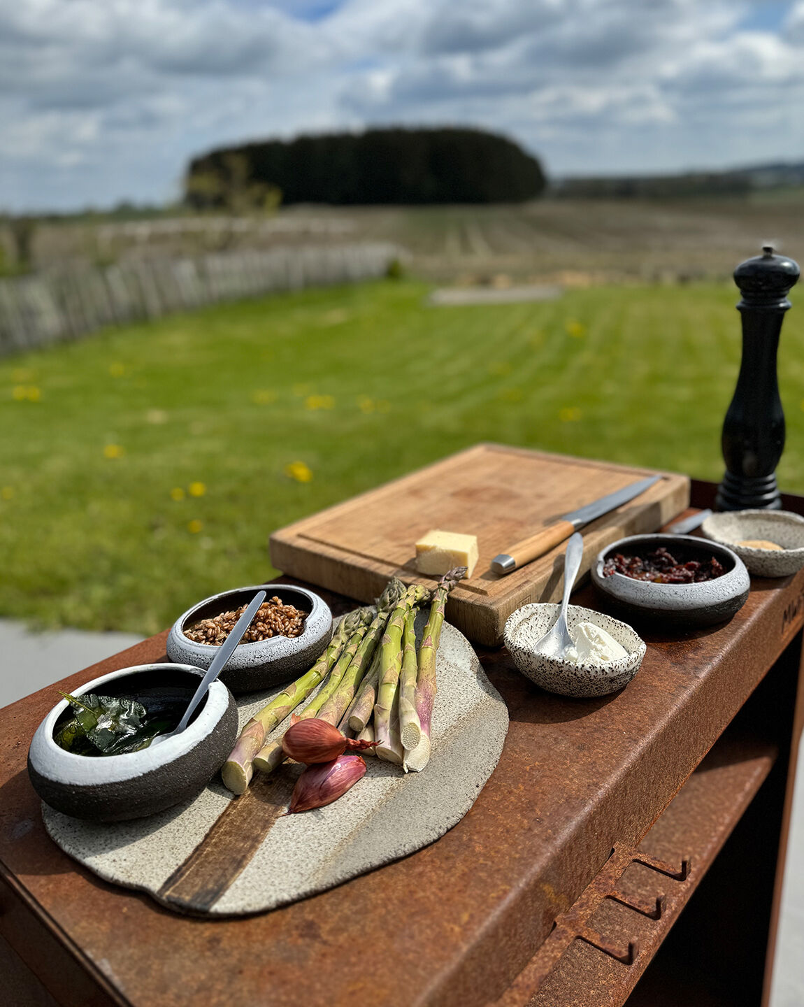 Ensemble d'ingrédients présenté sur une table en corten dans un jardin. fromage frais, échalotes, huile d'olives, tomates séchées, épeautre, pesto d'ail des ours, asperges, fromage râpé, sel et poivre